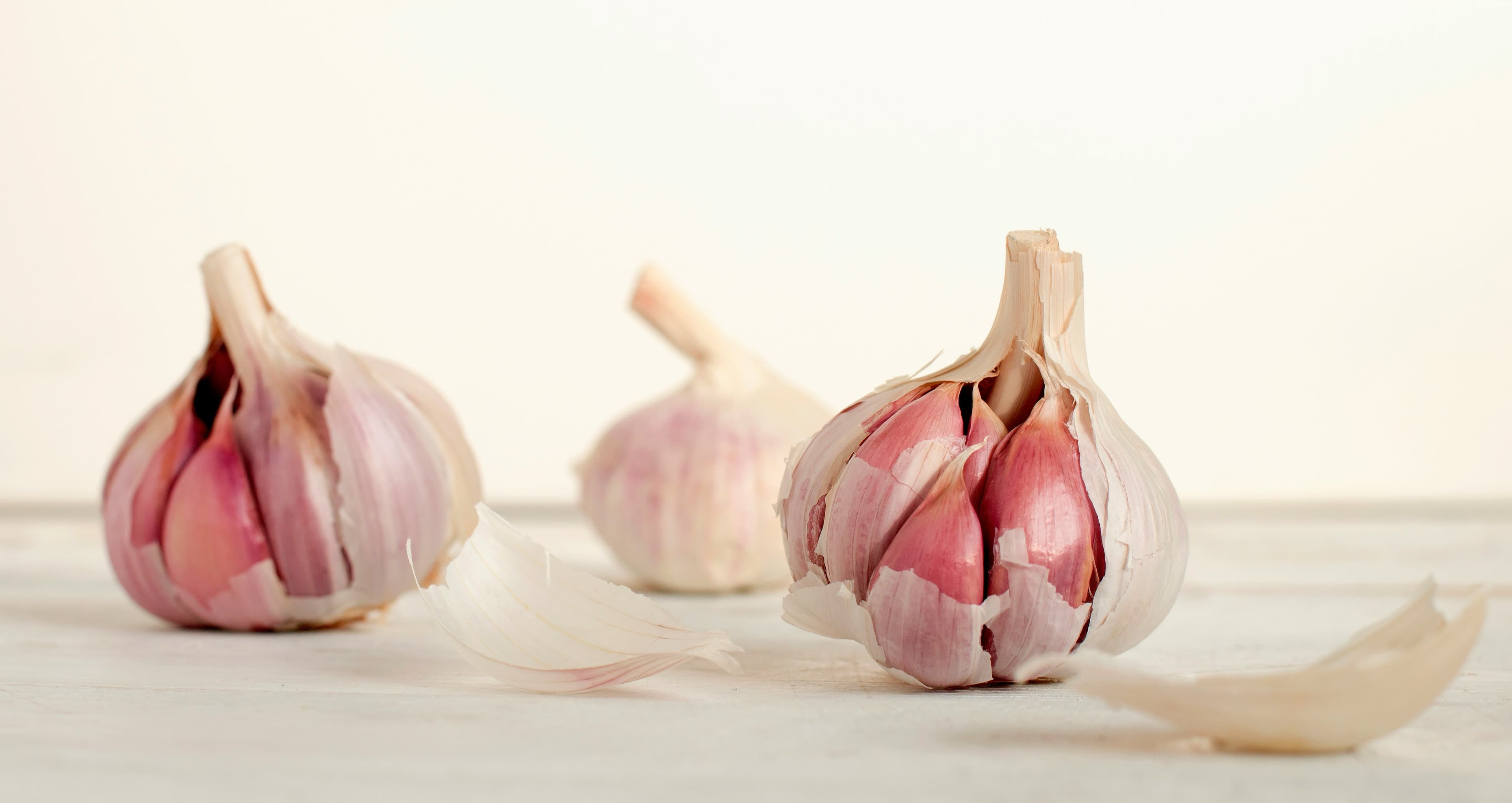 Fresh garlic bulbs