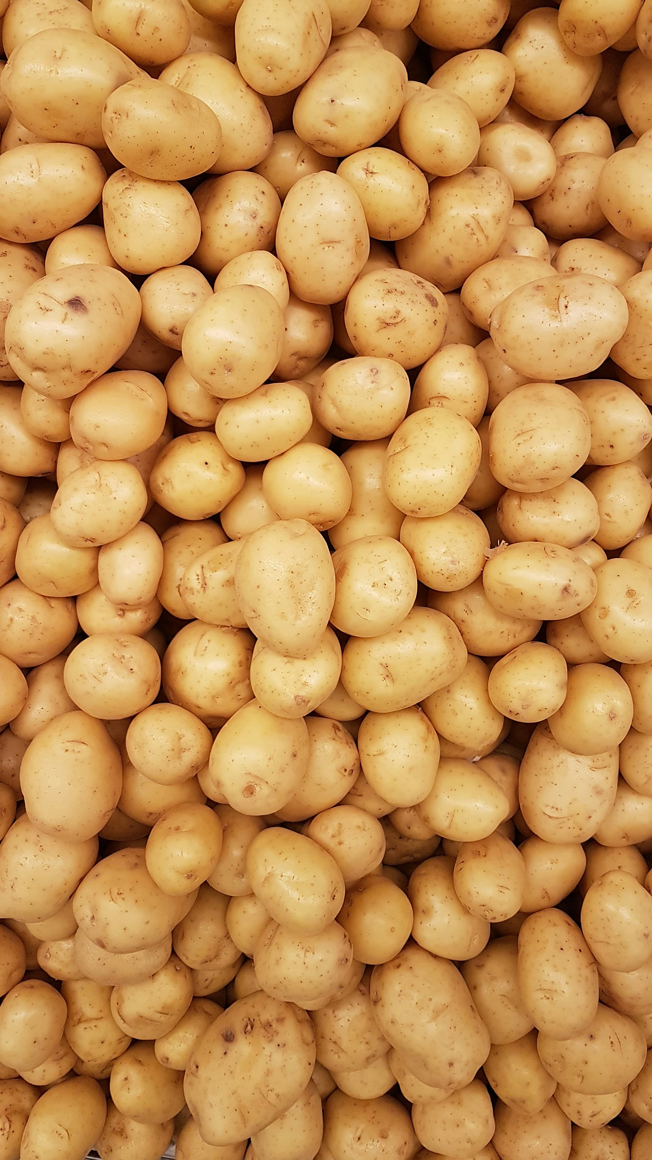 Farm Potatoes