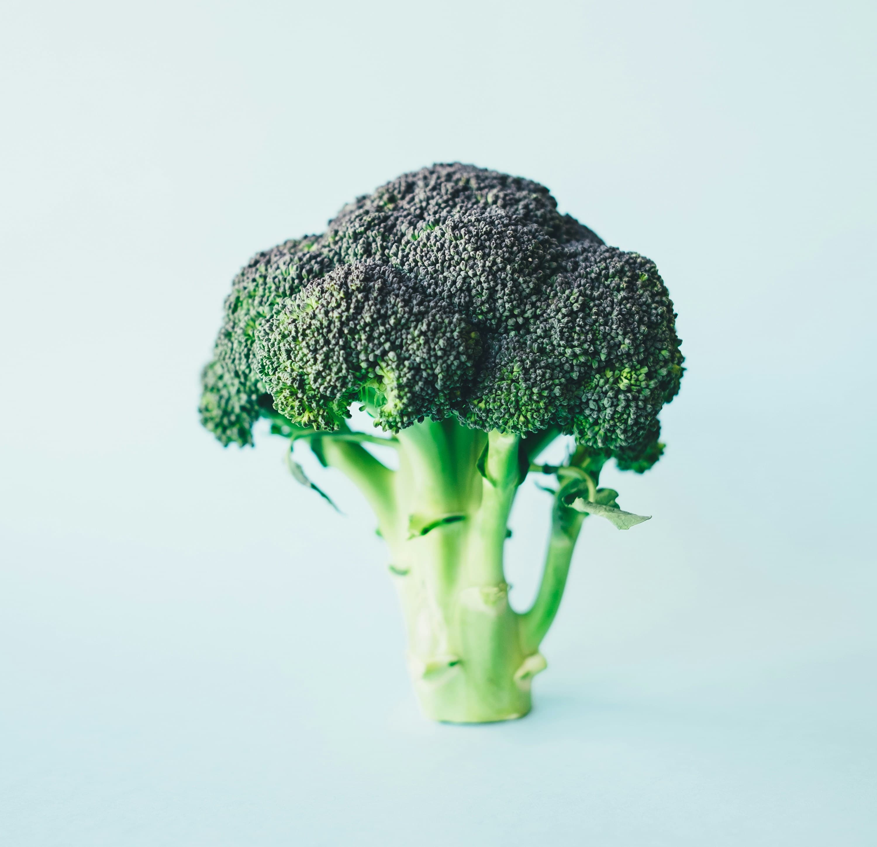 A fresh head of broccoli
