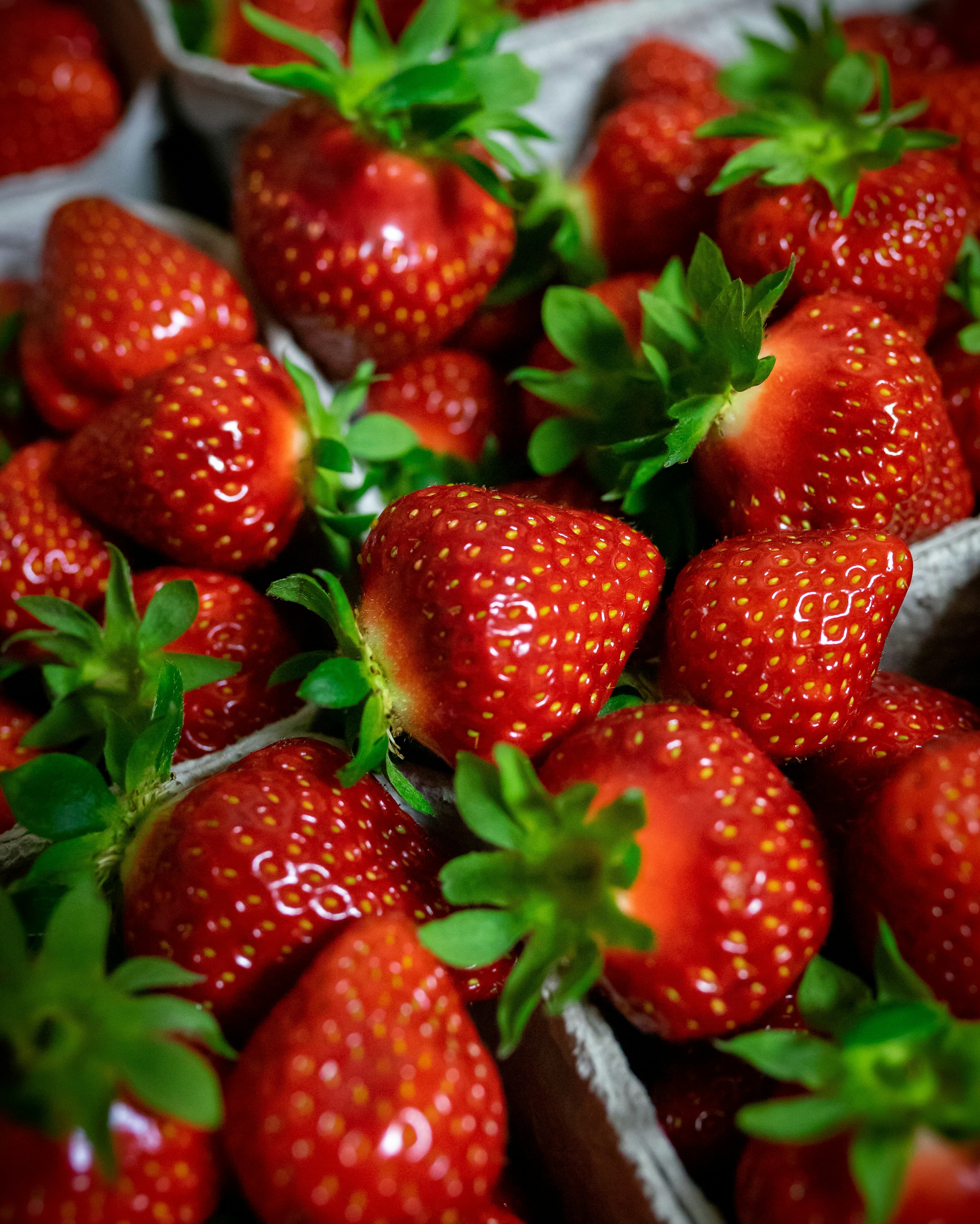 Fresh Strawberries